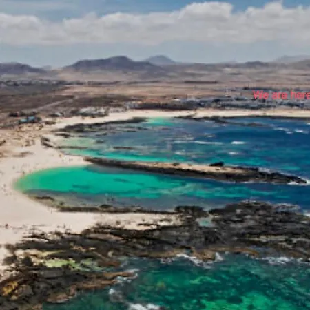 Calypso * Cotillo